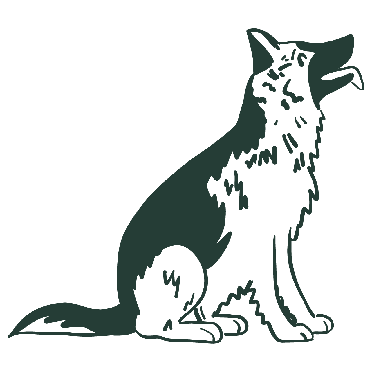 Normalt Aktiv (1-2 timmar promenad & lek)