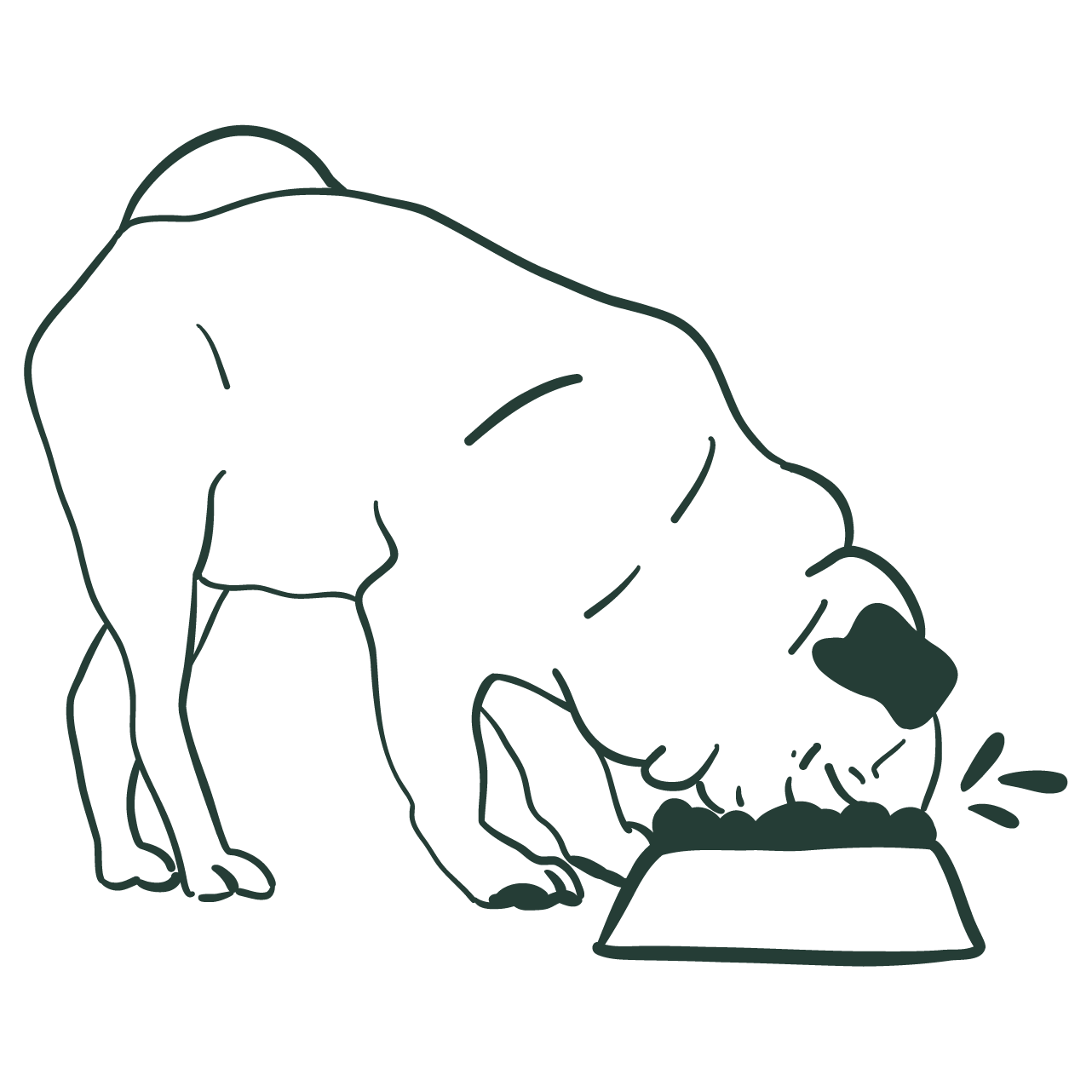 God aptit – vet vad den gillar och är inte så äventyrlig