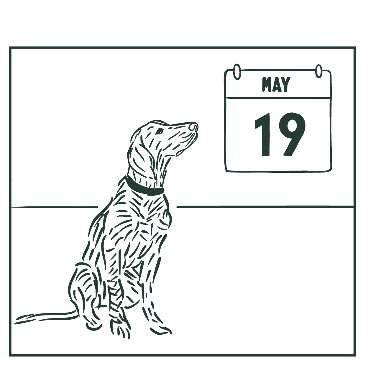 2. Anpassa planen för din vardag.